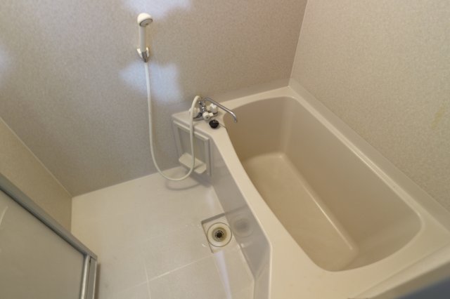 その他写真8