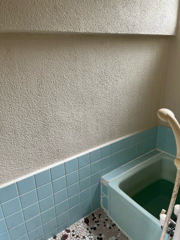 その他写真5