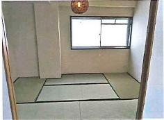 その他写真5
