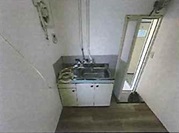 その他写真9
