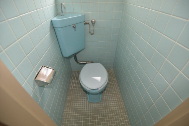 その他写真9