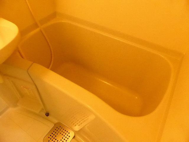 その他写真7