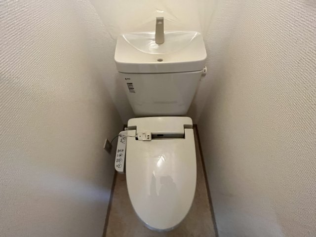 その他写真8