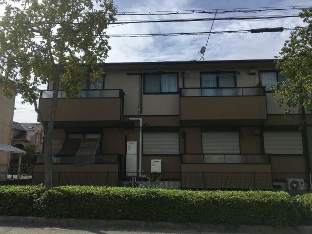 その他写真7
