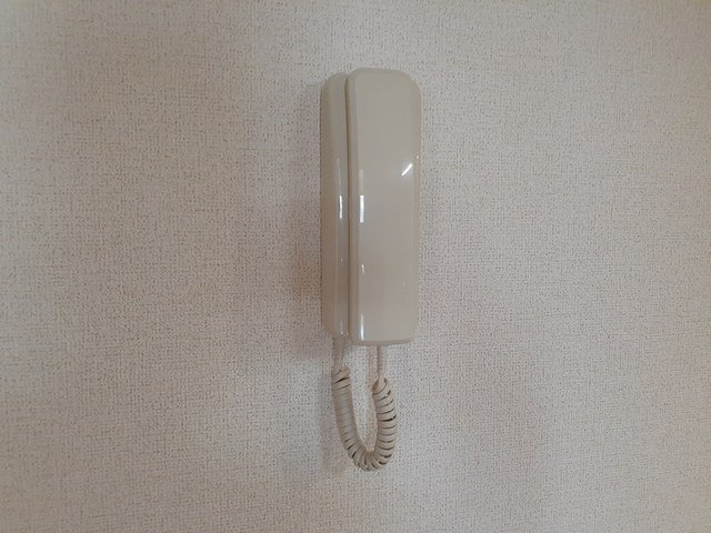 その他写真10