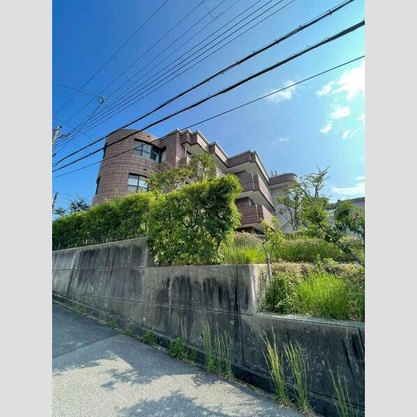 その他写真4
