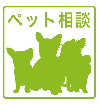 その他写真7