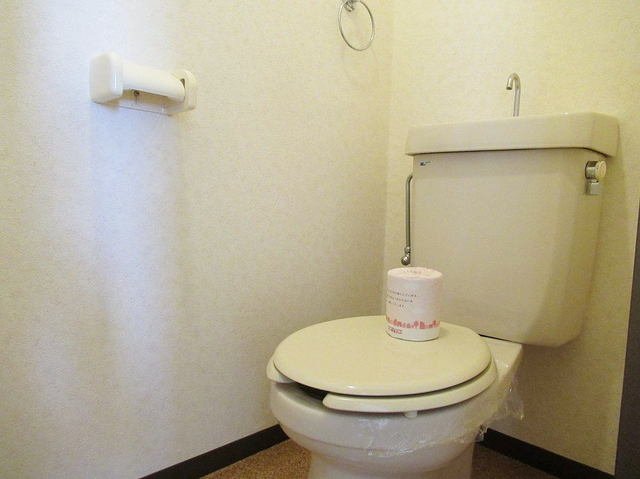 その他写真10