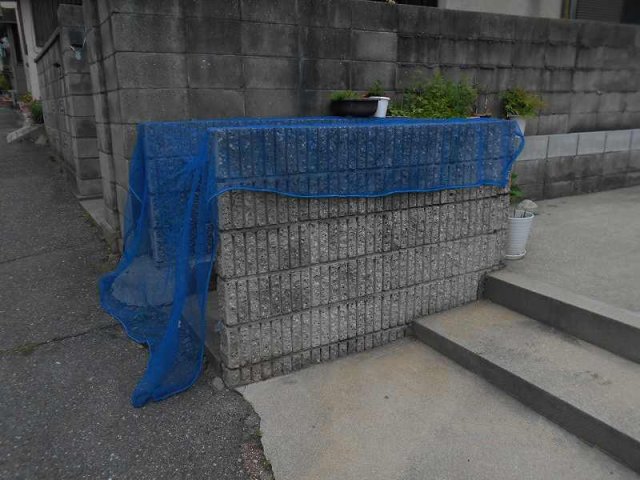 その他写真10