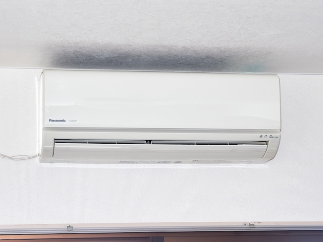 その他写真5