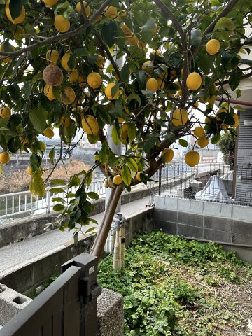 その他写真9