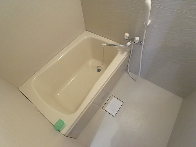 その他写真10
