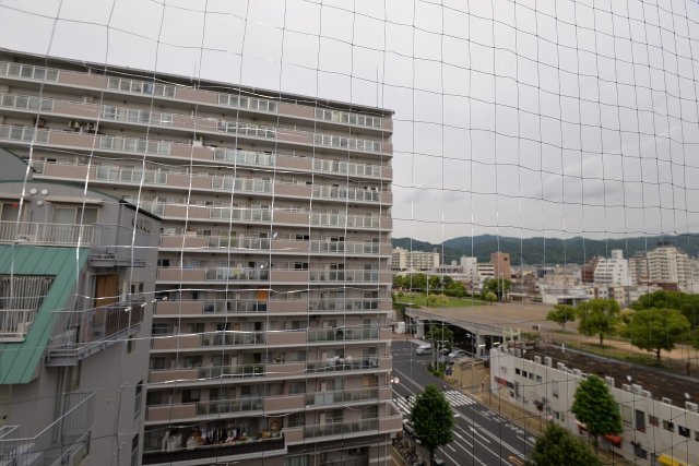その他写真9
