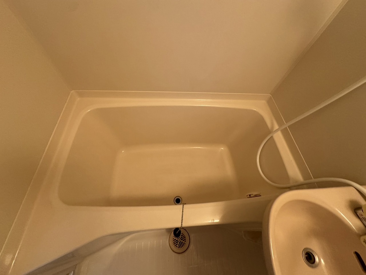 その他写真10