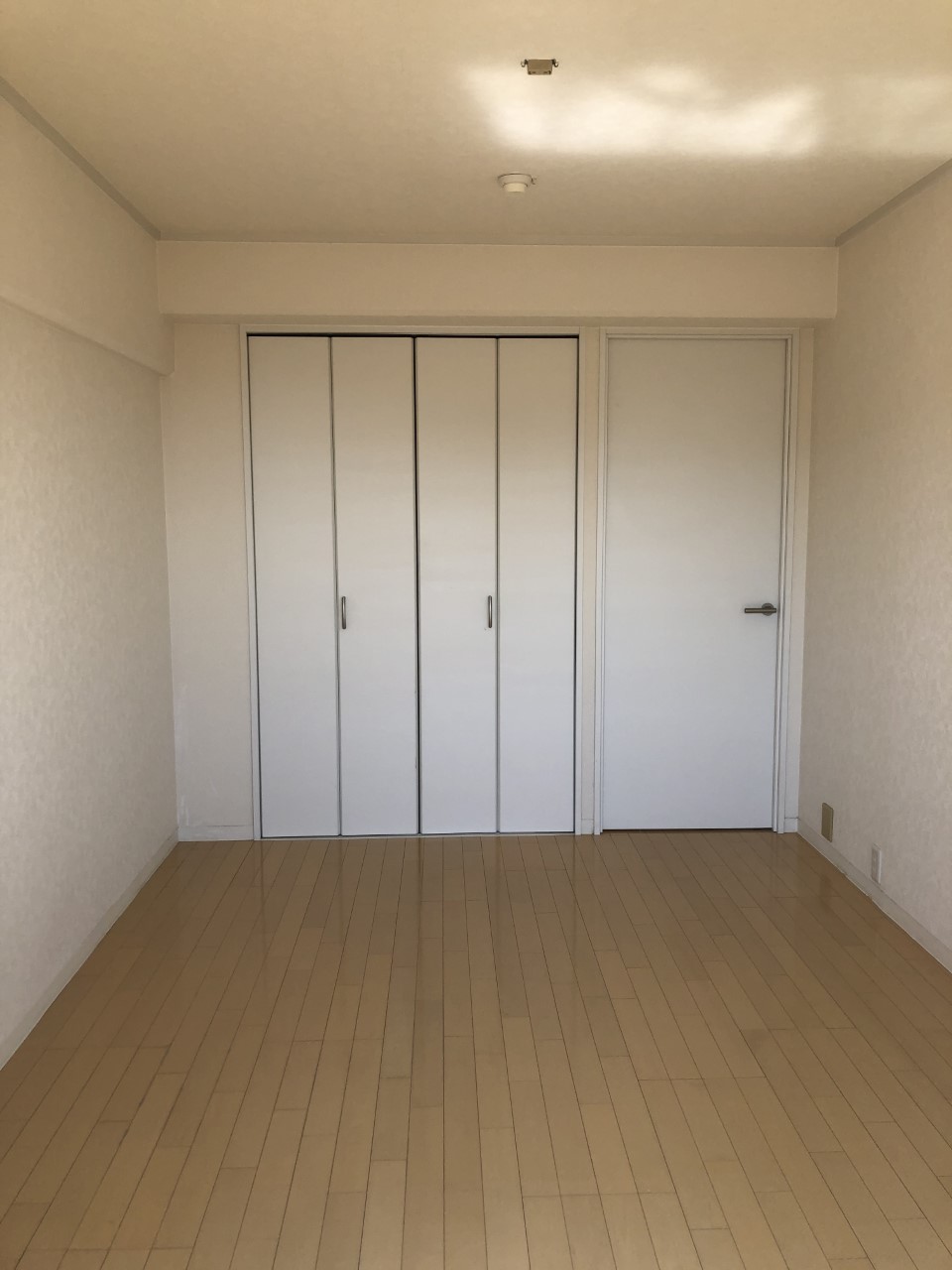 その他写真7