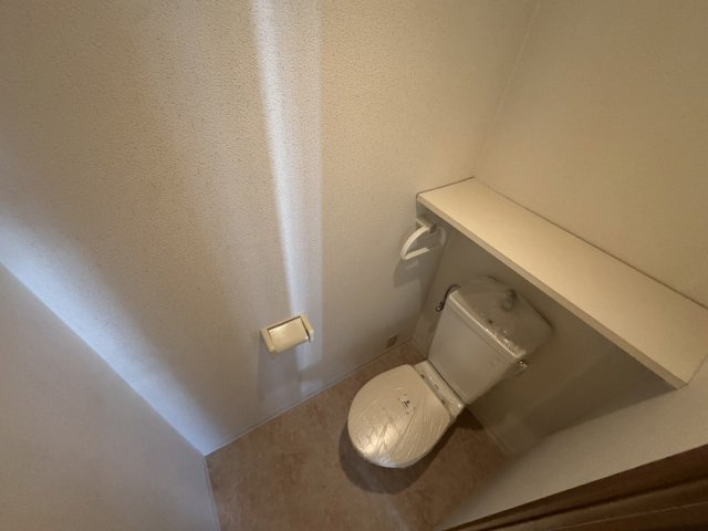 その他写真10