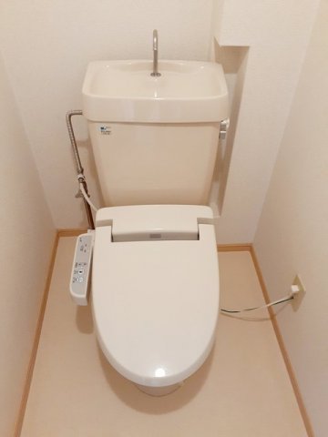 その他写真9