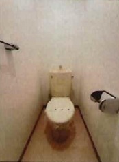 その他写真8