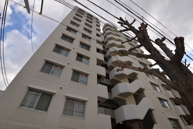 その他写真2