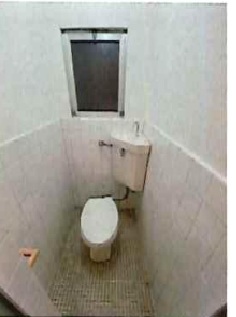 その他写真7