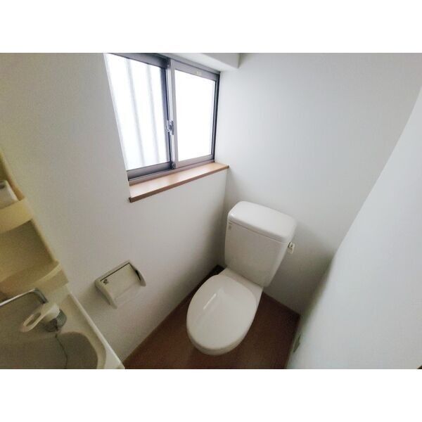 その他写真9