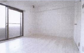 その他写真4