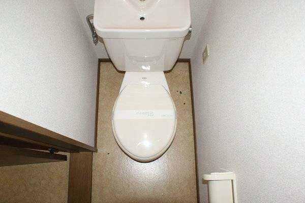 その他写真9