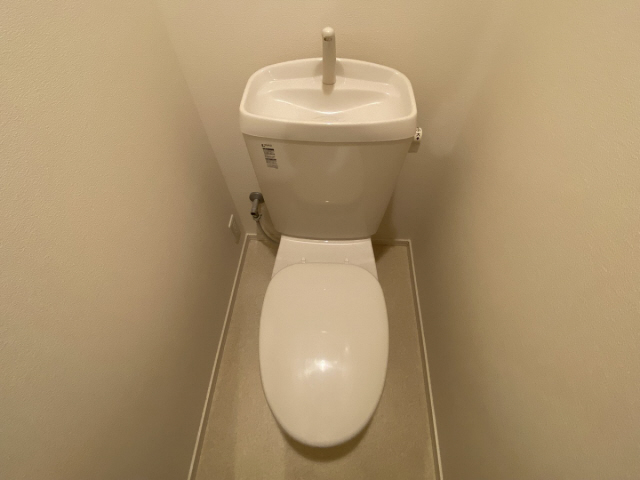 その他写真9