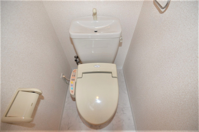 その他写真9