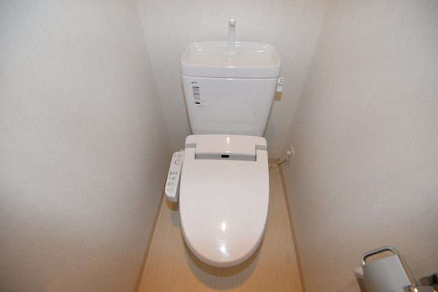 その他写真7