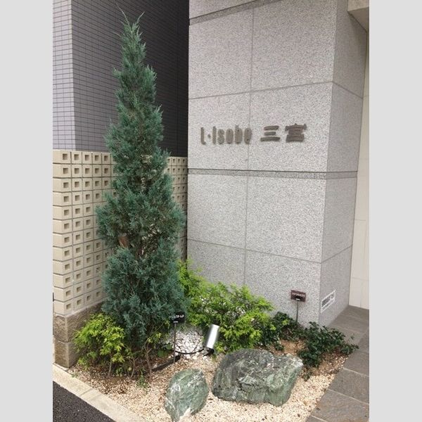 その他写真8