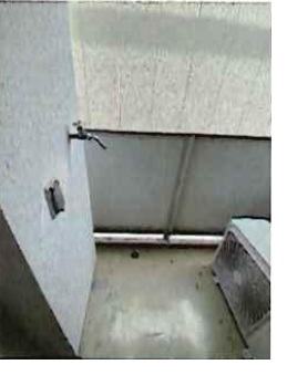 その他写真10