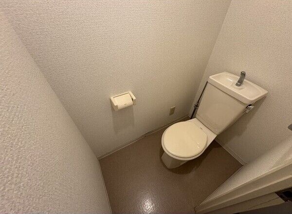 その他写真7