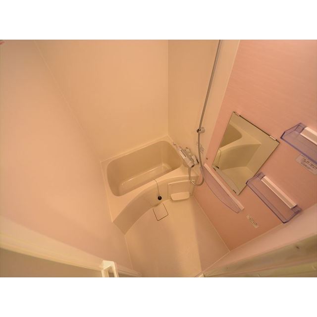 その他写真7
