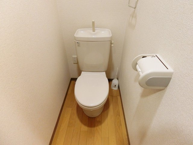 その他写真7