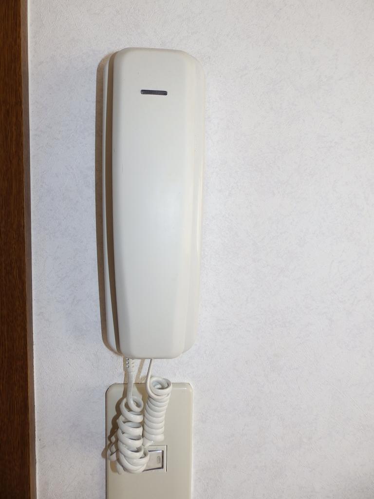 その他写真10