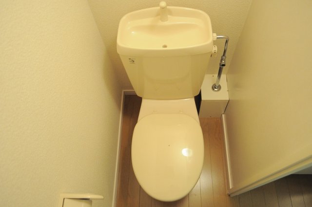 その他写真9