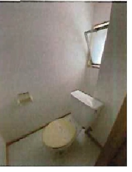 その他写真9