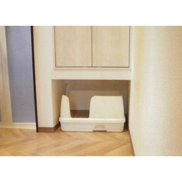 その他写真5