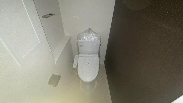 その他写真7