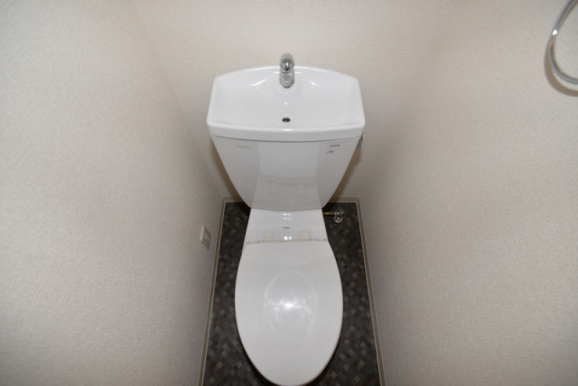 その他写真10