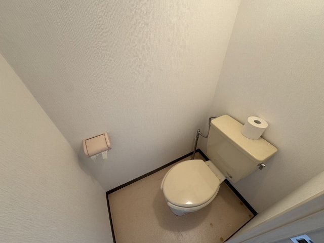 その他写真10