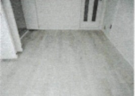 その他写真7