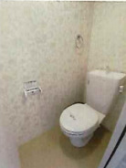 その他写真7