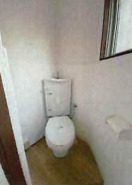 その他写真7