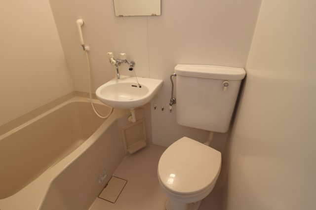 その他写真9