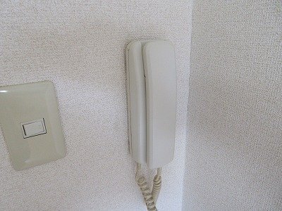その他写真10