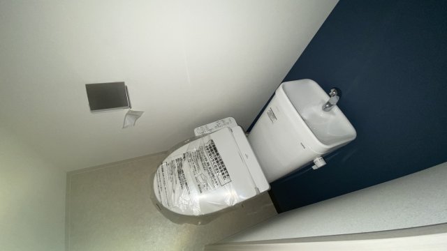 その他写真10