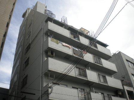 その他写真2