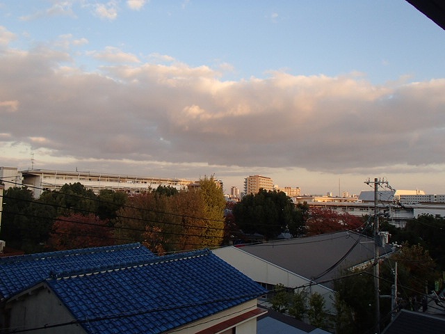 その他写真10